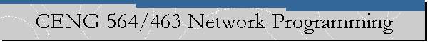 CENG 564/463 Network Programming
