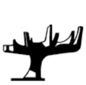 Middle East Technical University science tree