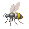 Istanbul Technical University bee animation